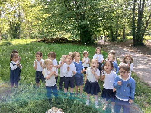 Propose service civique - Septembre 2026 - Classe Montessori - École maternelle Saint Joseph H/F