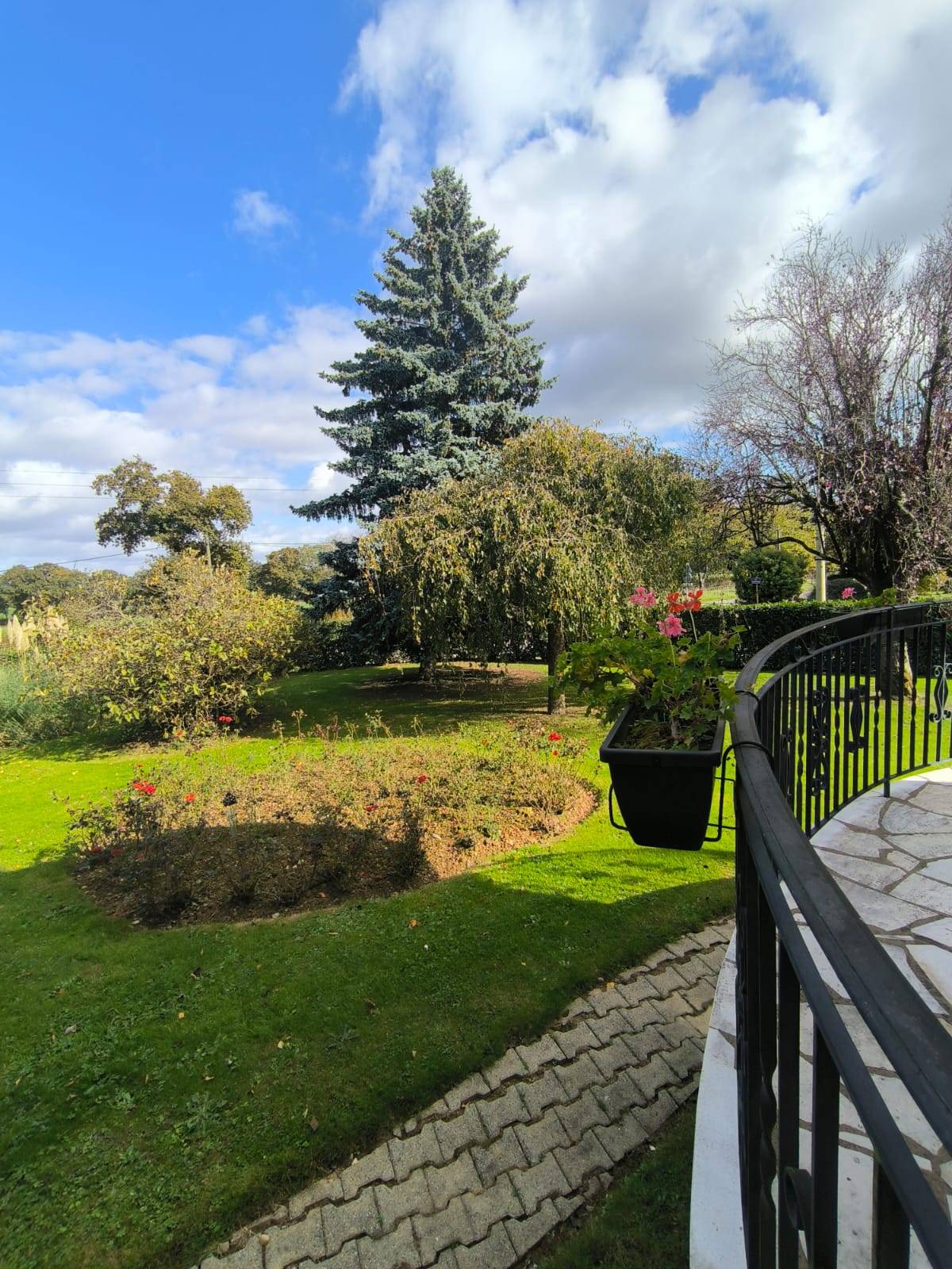 Une photo de l’annonce