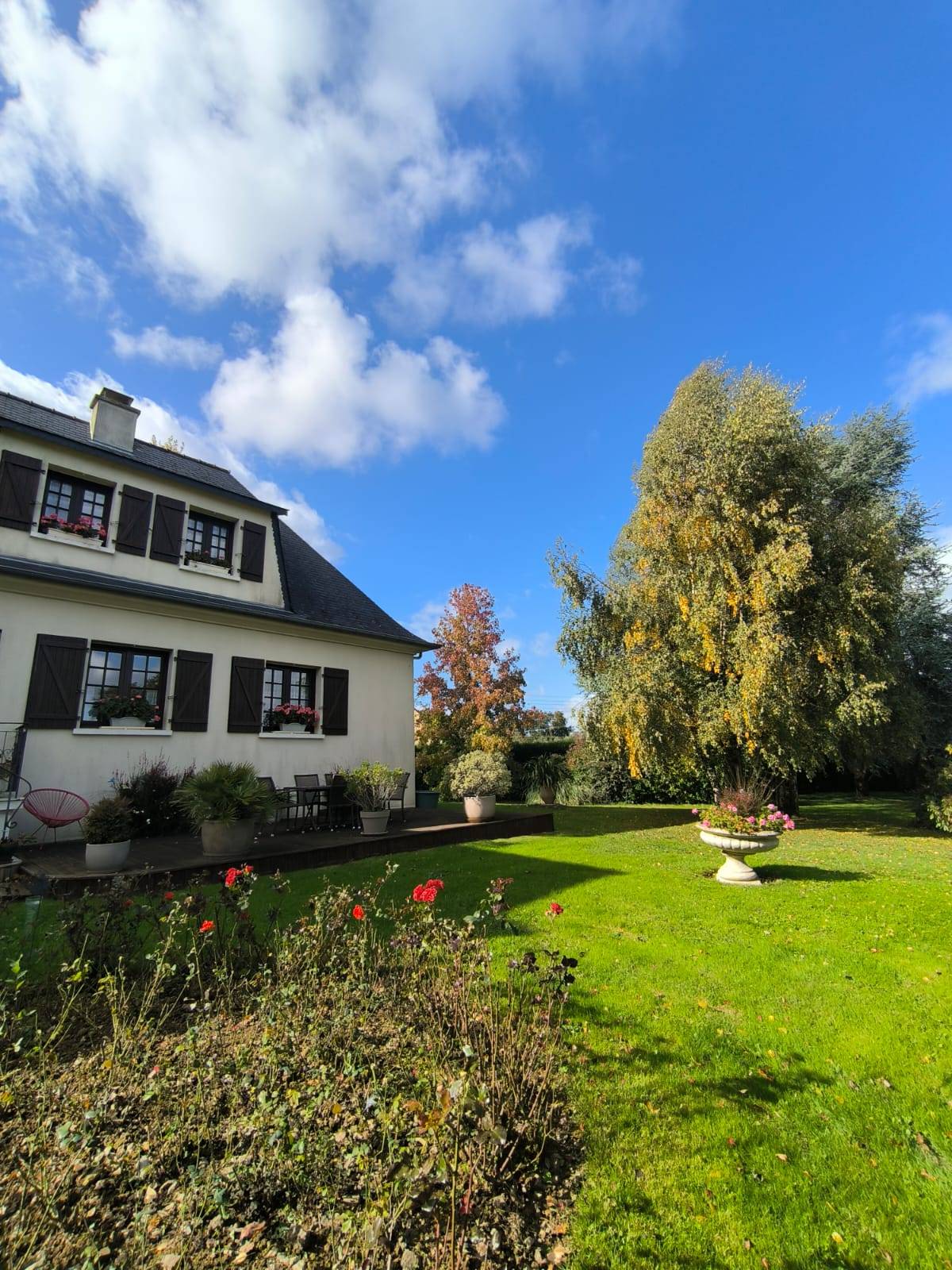 Une photo de l’annonce