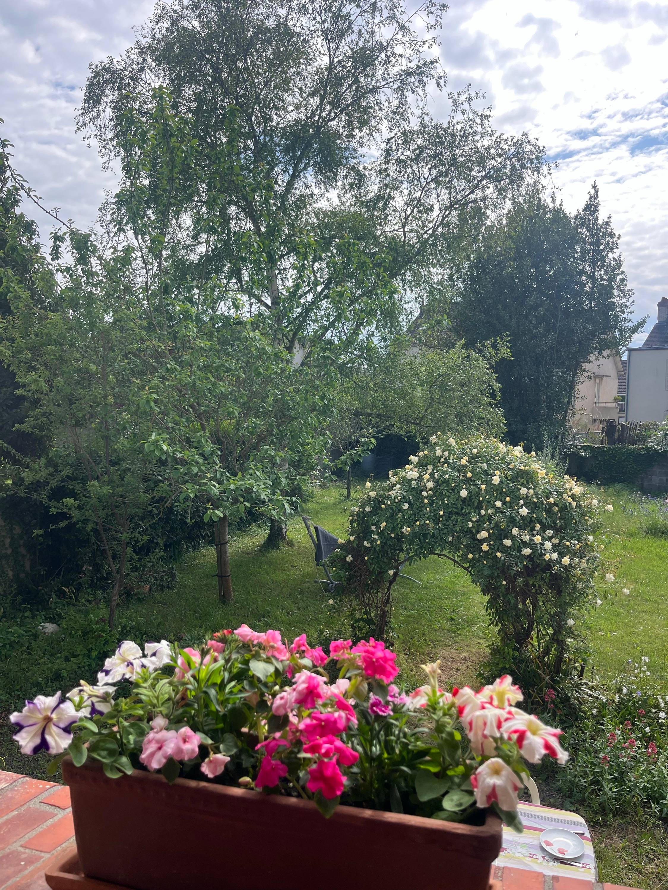 Une photo de l’annonce