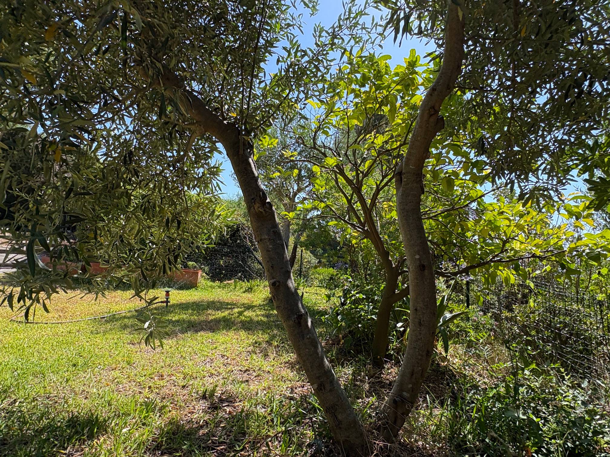Une photo de l’annonce de location de vacances