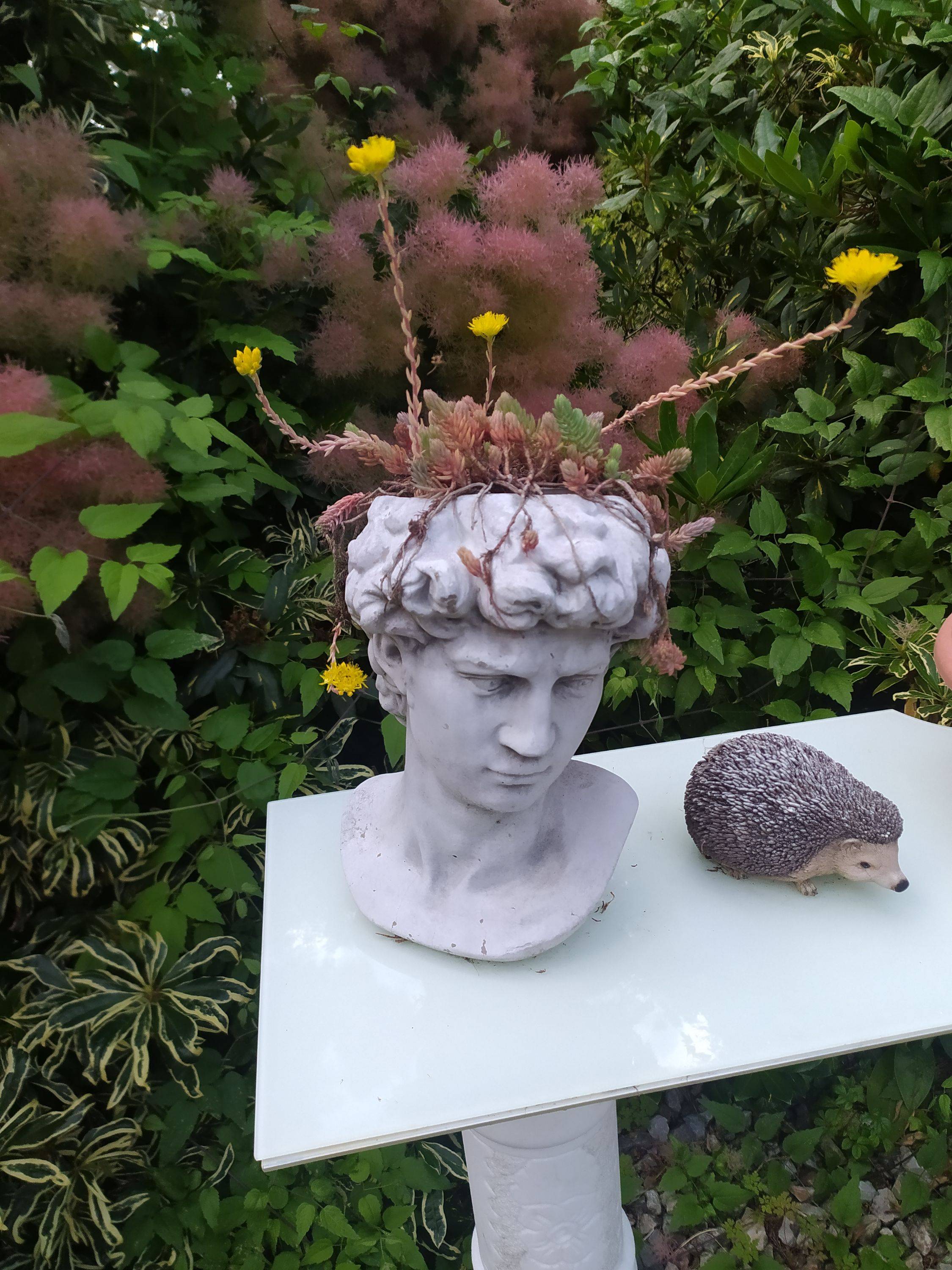 Jardinier effectue tous travaux jardin accepte CESU