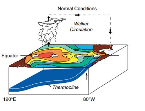 Propose cours de soutien en mathématiques et physique pour collège et lycée, ainsi que coaching scolaire