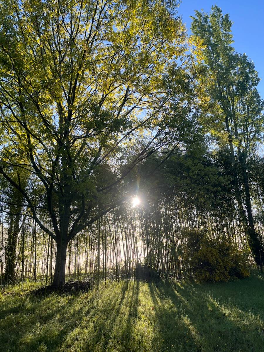 Loue maison proche du circuit pour les 24 heures du Mans - 4 couchages - 2 chambres