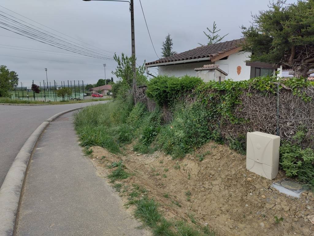 Une photo de l’annonce