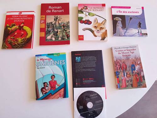 Les Classiques de la littérature scolaire
