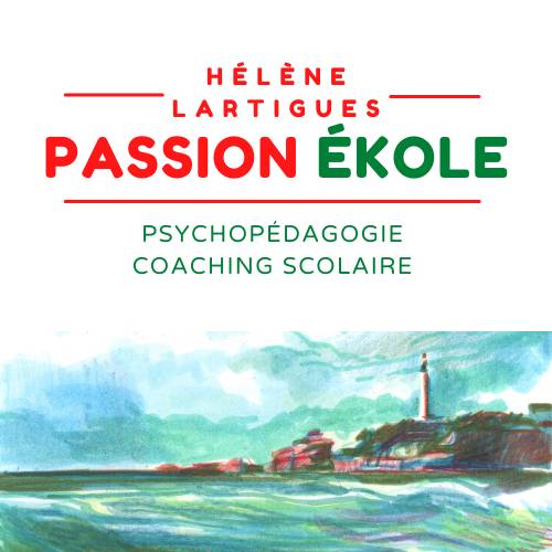 Coach scolaire primaire et collège propose ses services