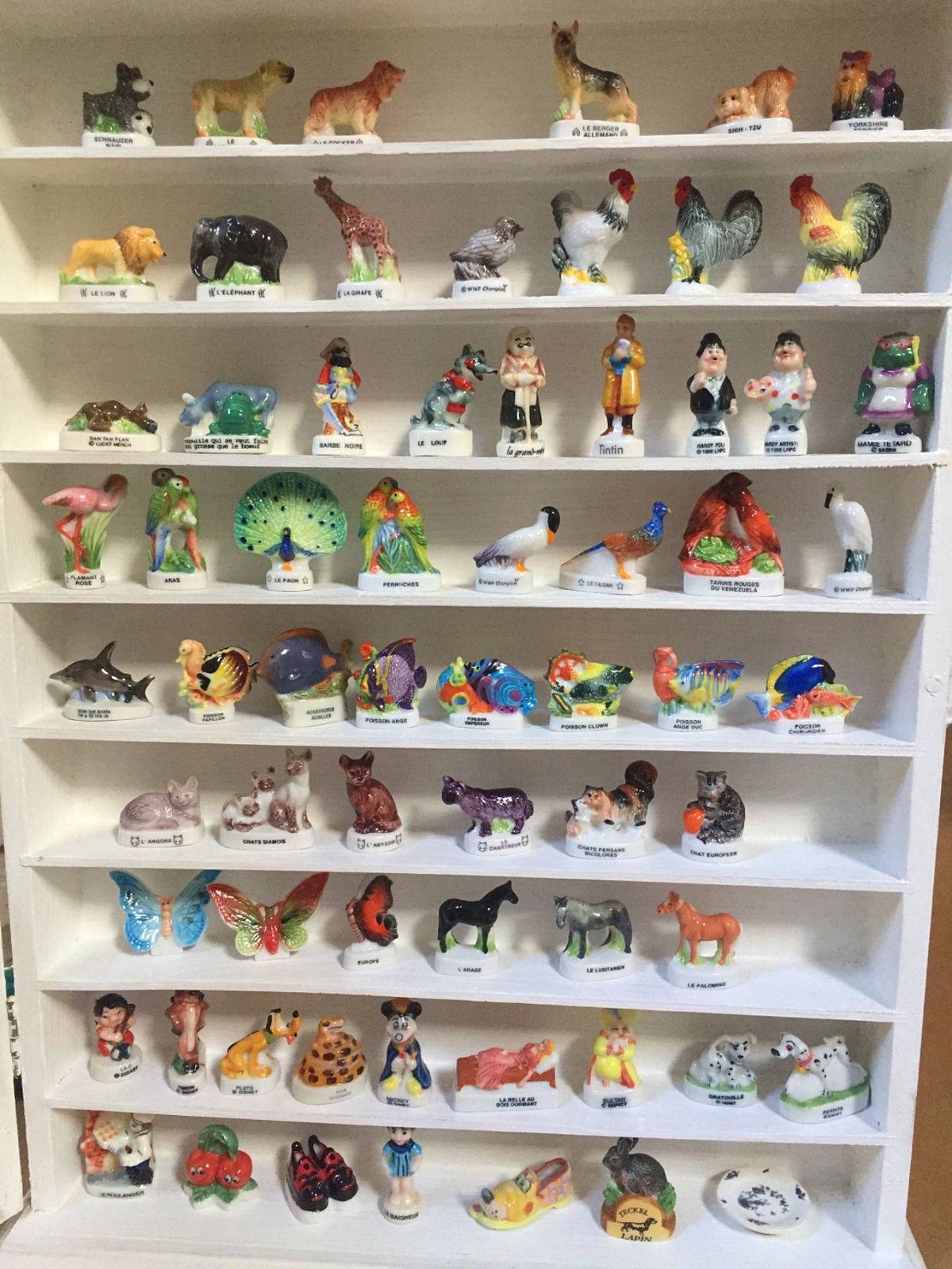 Collection de fèves dans vitrine