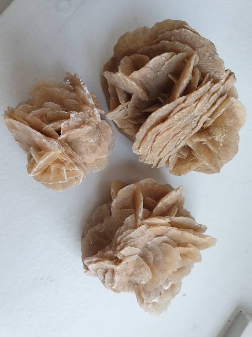Collection Roses des sables
