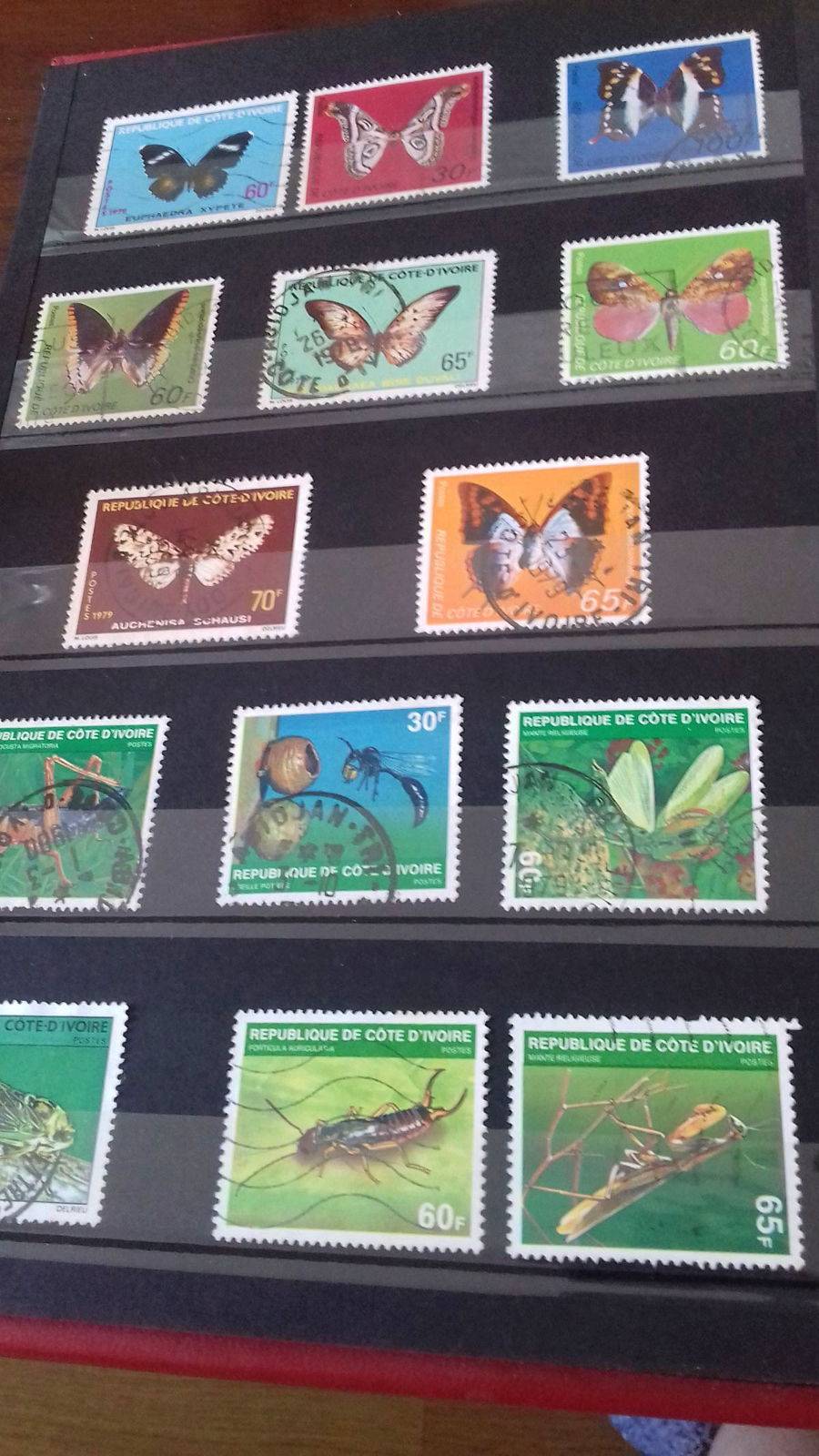 Collection de timbres