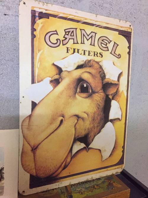 Collector plaque métal camel