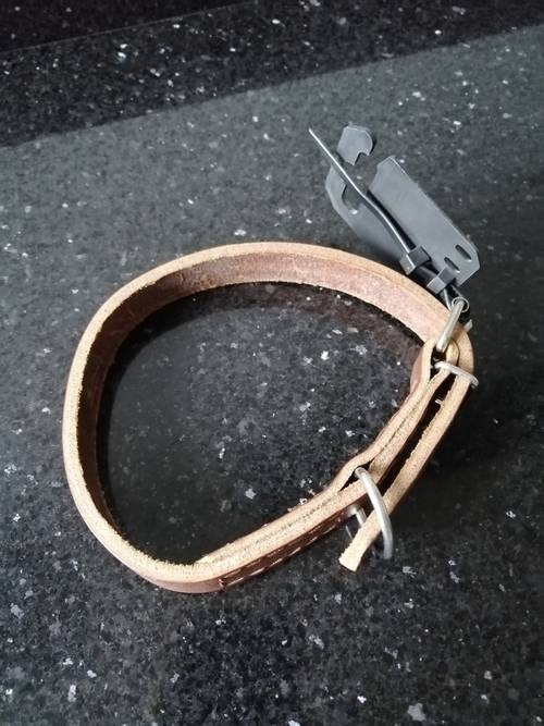 Collier en cuir neuf