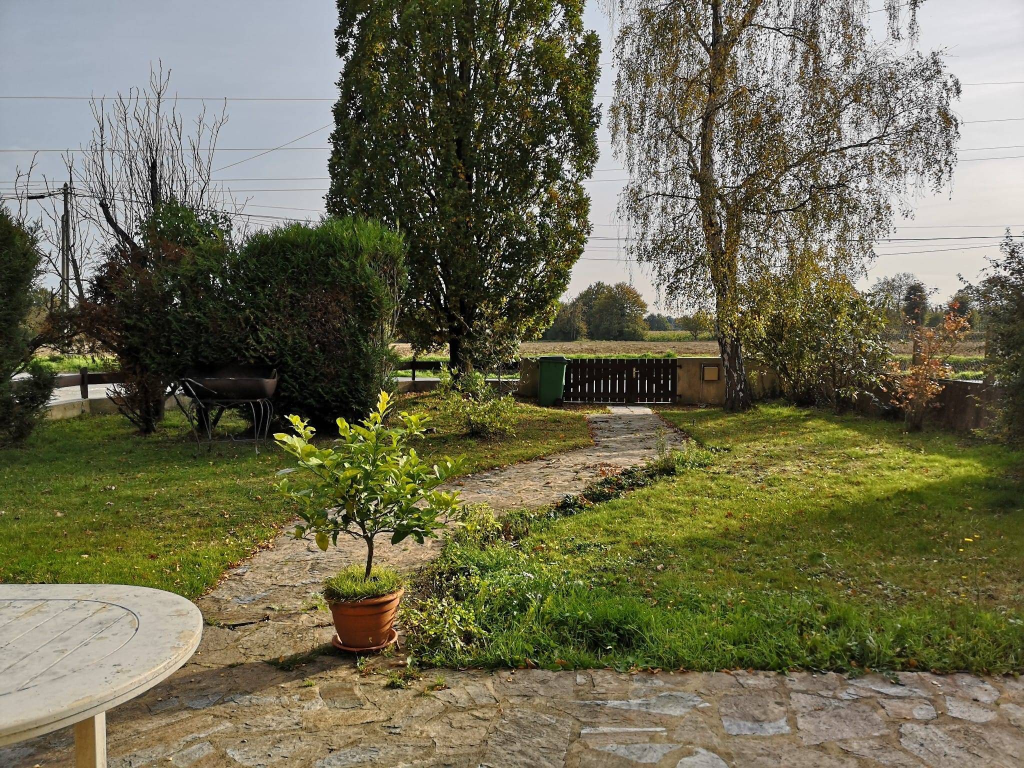 Une photo de l’annonce