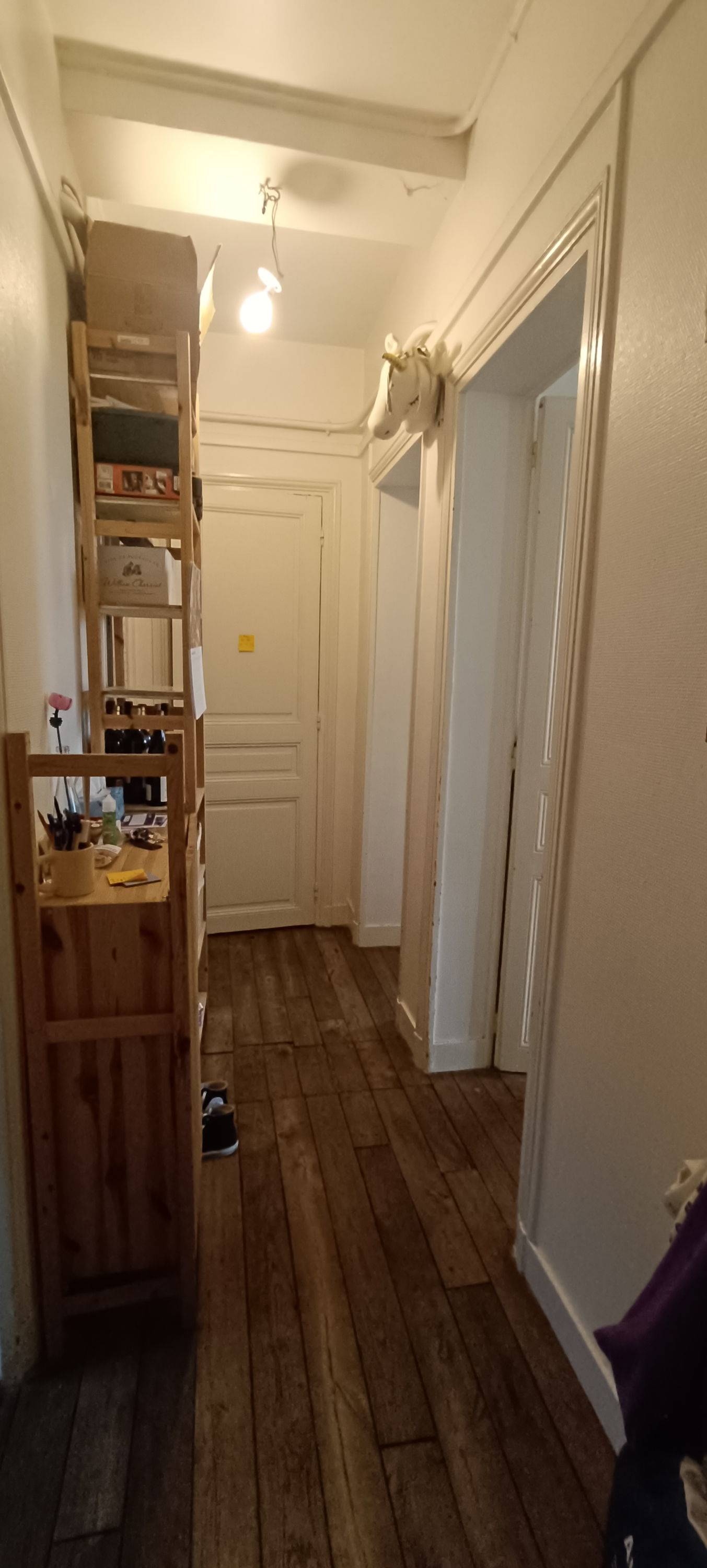 Propose colocation appartement 50m²