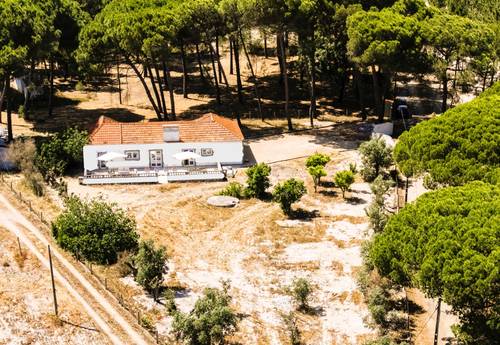 Loue Villa Sérénité Les Oliviers 5 chambres - 10 couchages - Comporta