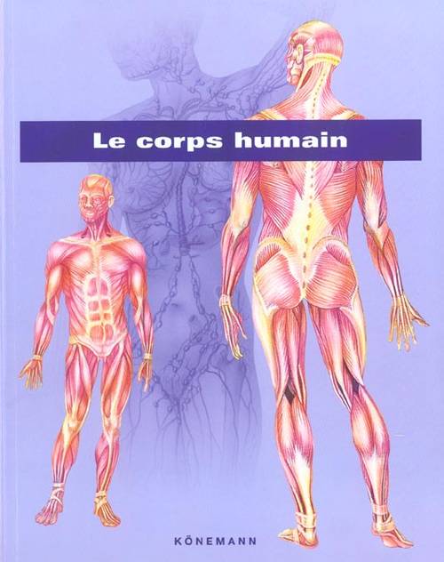 Le corps humain