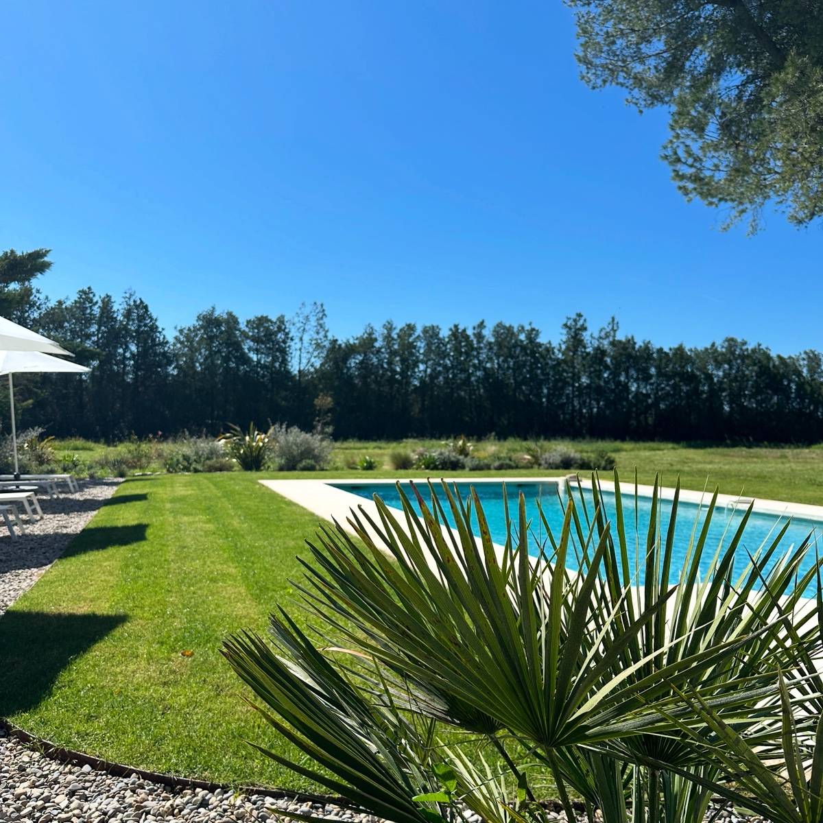 Loue mas contemporain avec piscine chauffée et parc de 5000m² dans le Luberon - 8 couchages