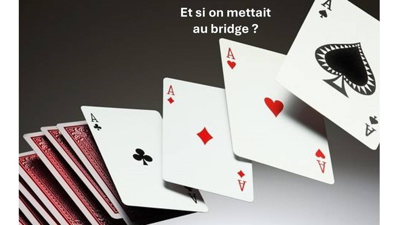 Propose cours de bridge - débutants ou perfectionnement