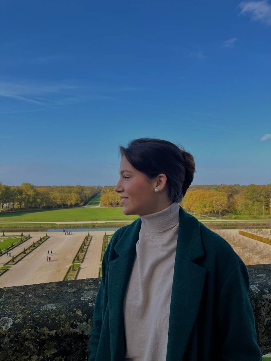 Propose Cours particuliers - lettres, philosophie, histoire, géographie, anglais, méthodologie et oral