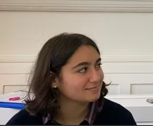 Propose cours particuliers de français (littérature et/ou grammaire) et philosophie niveau lycée/collège