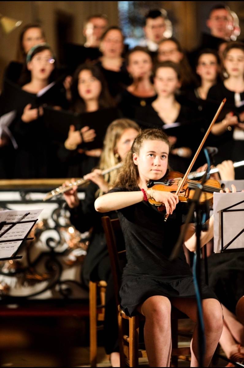 Propose cours particuliers de violon et de solfège