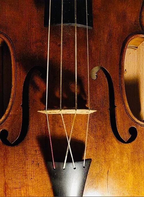 Propose cours de violon