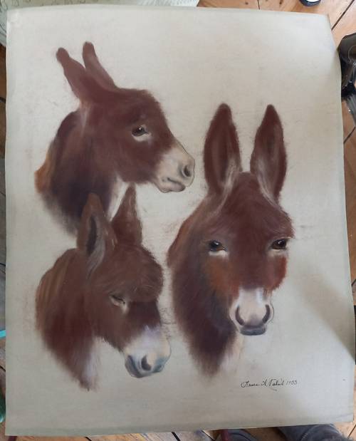 Dessin Excellente Craie d’art Etudes Visage d’Ane 40,5 cm x 50,5 cm