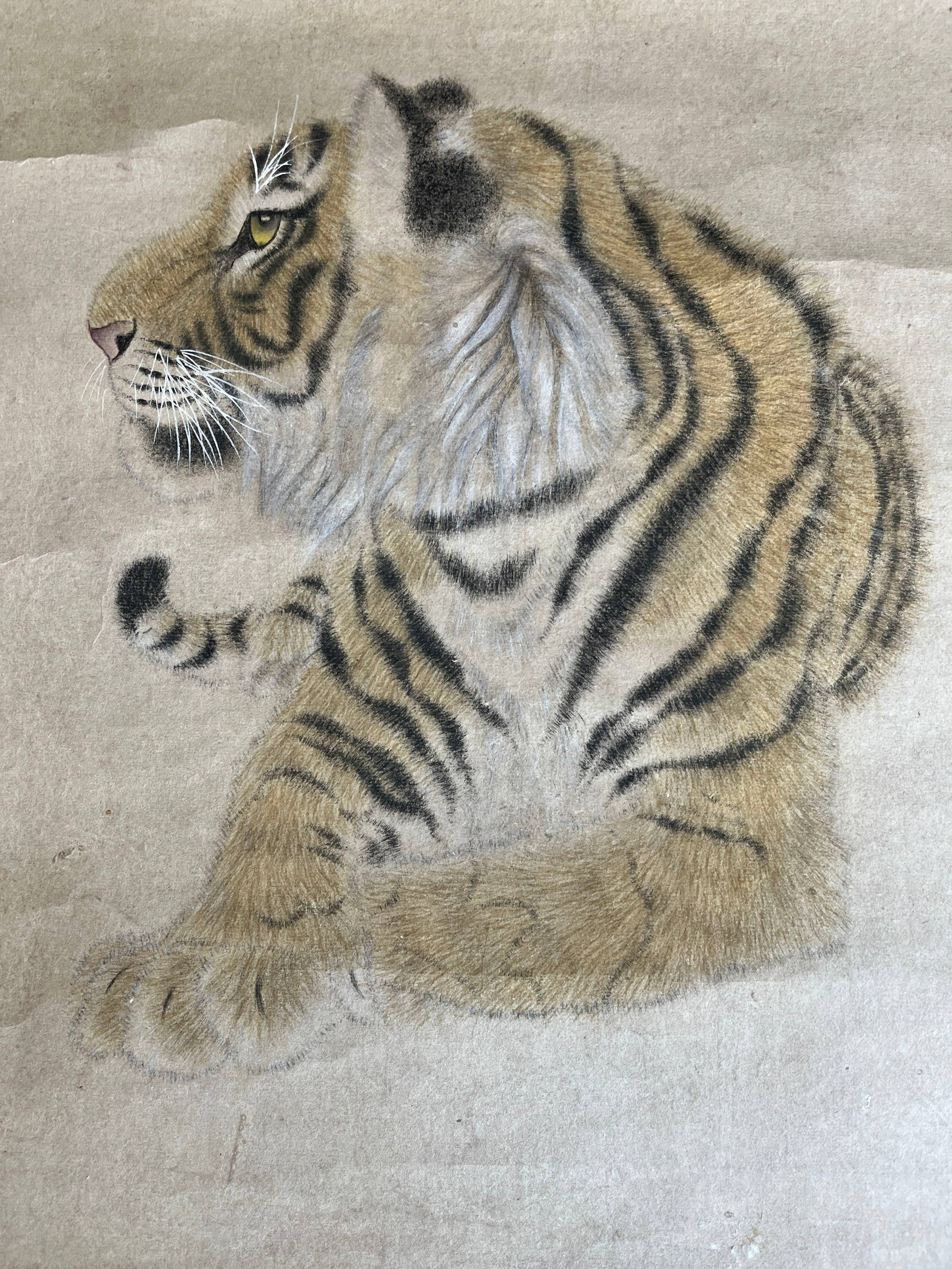 Dessin tigre Chine