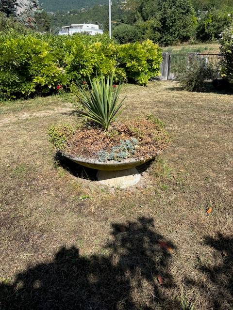 Donne grande coupe pour jardin