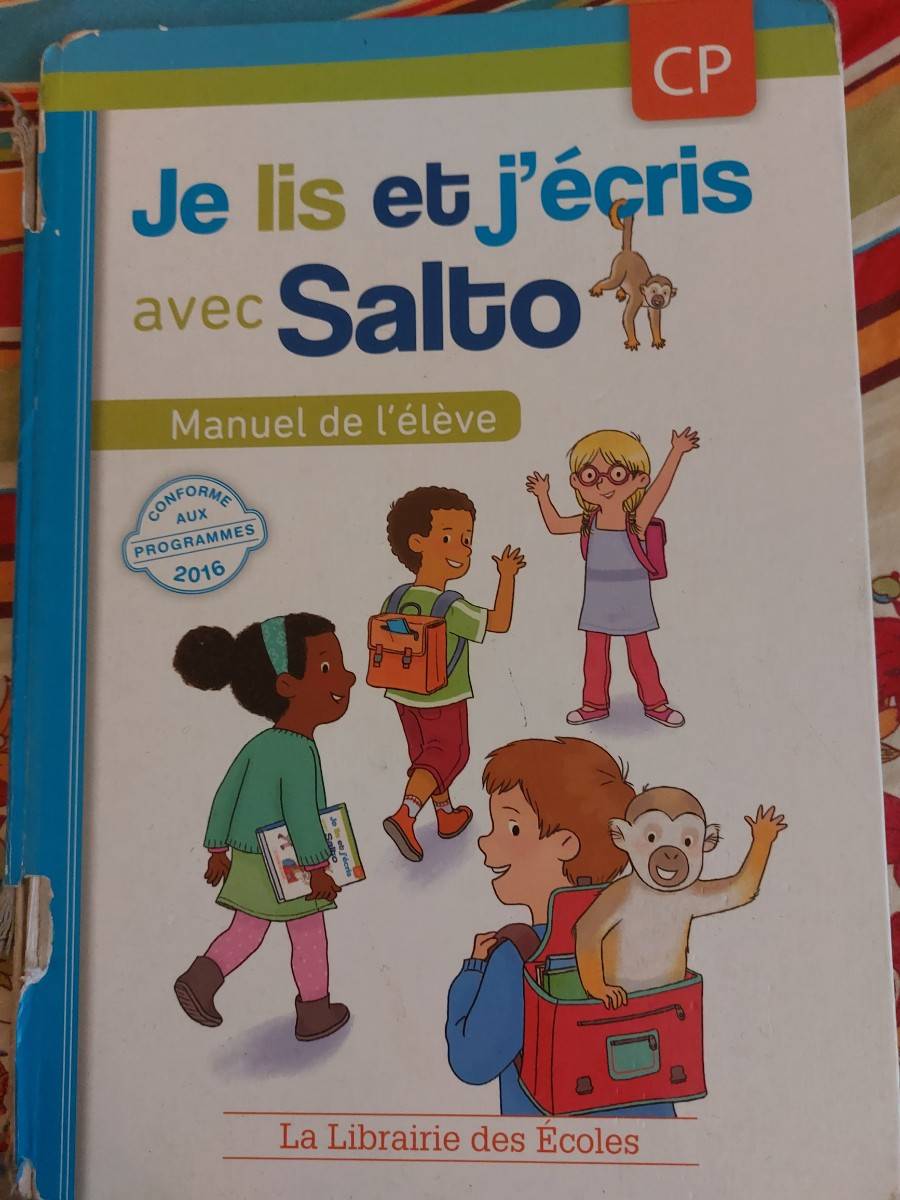 Je Lis Et J écris Avec Salto Donne livre &quot;je lis et j´écris avec salto&quot; CP sur Gens de  Confiance