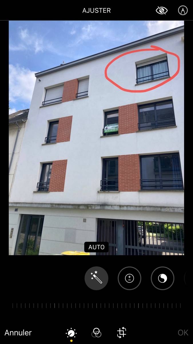 Une photo de l’annonce