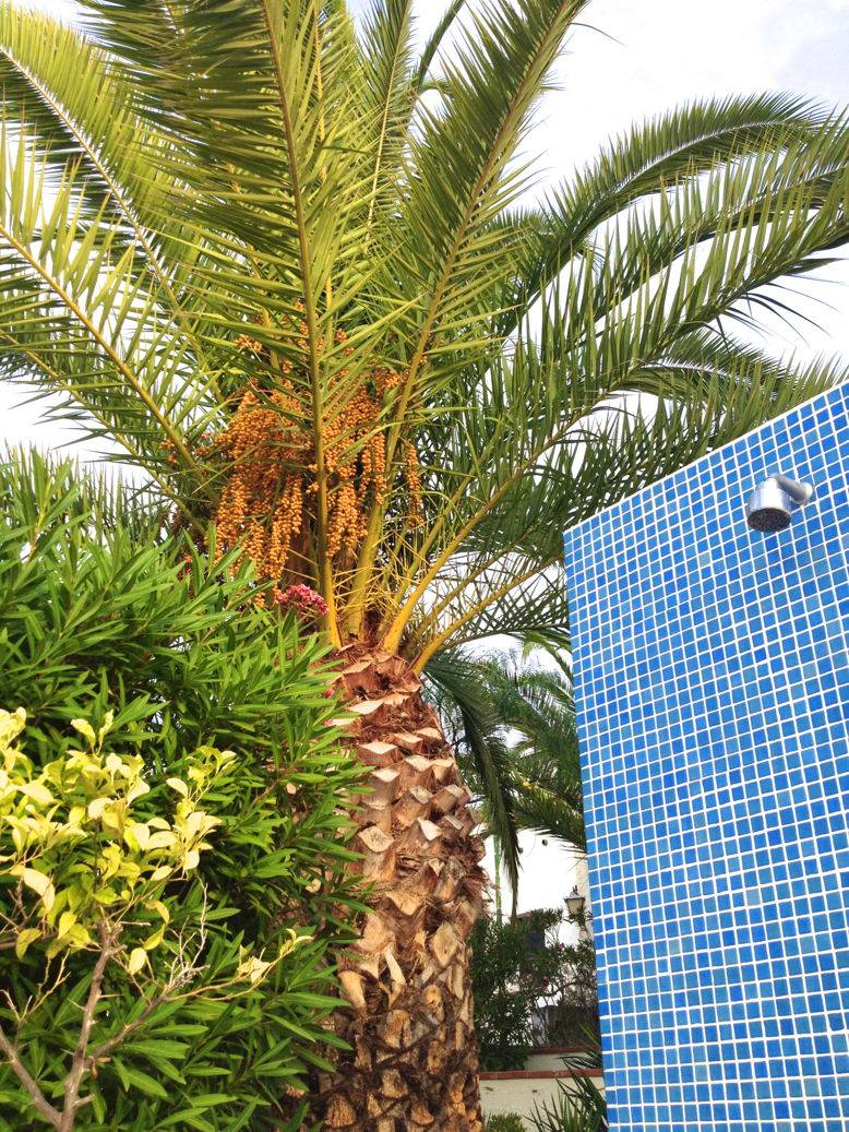 Une photo de l’annonce de location de vacances