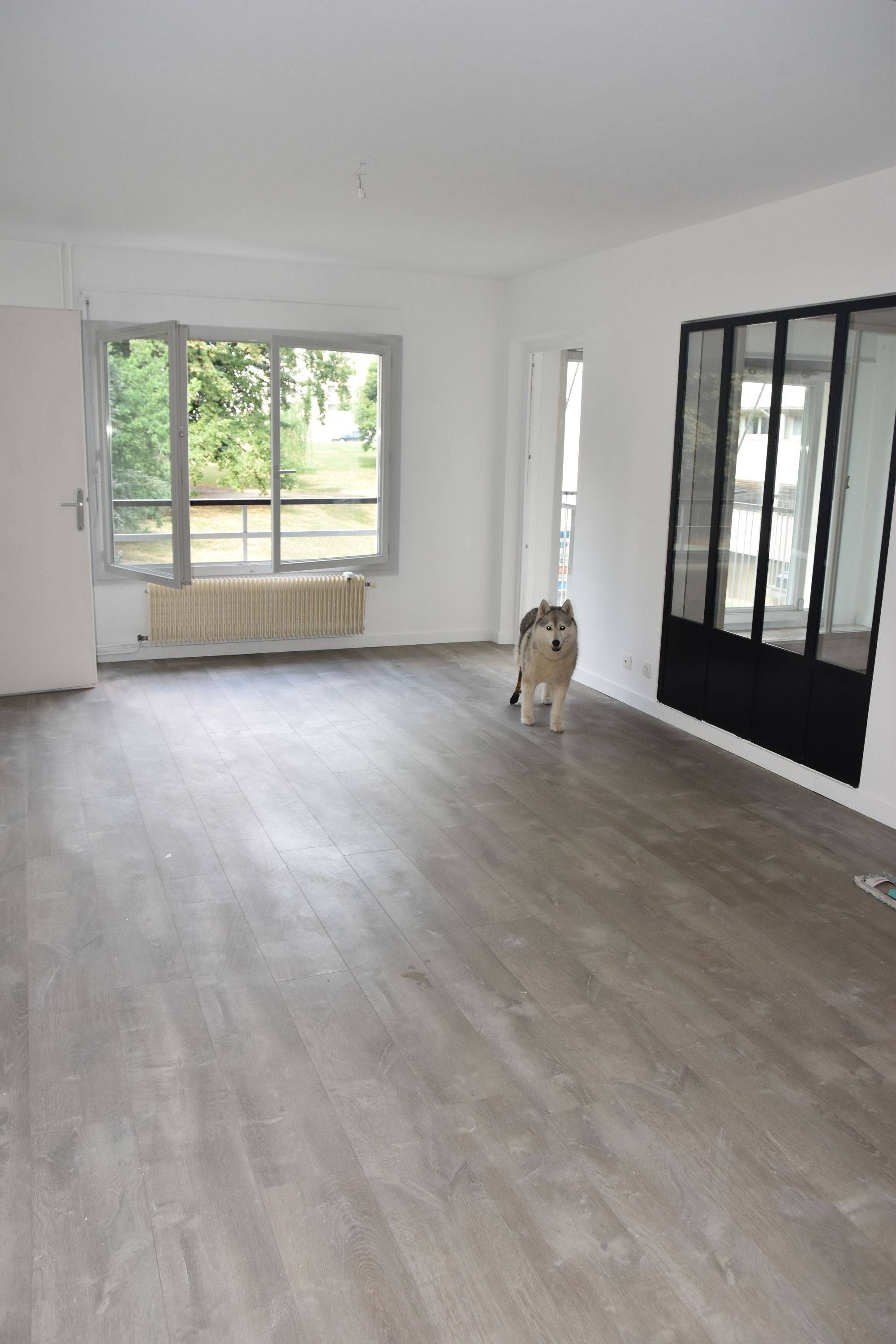 Une photo de l’annonce