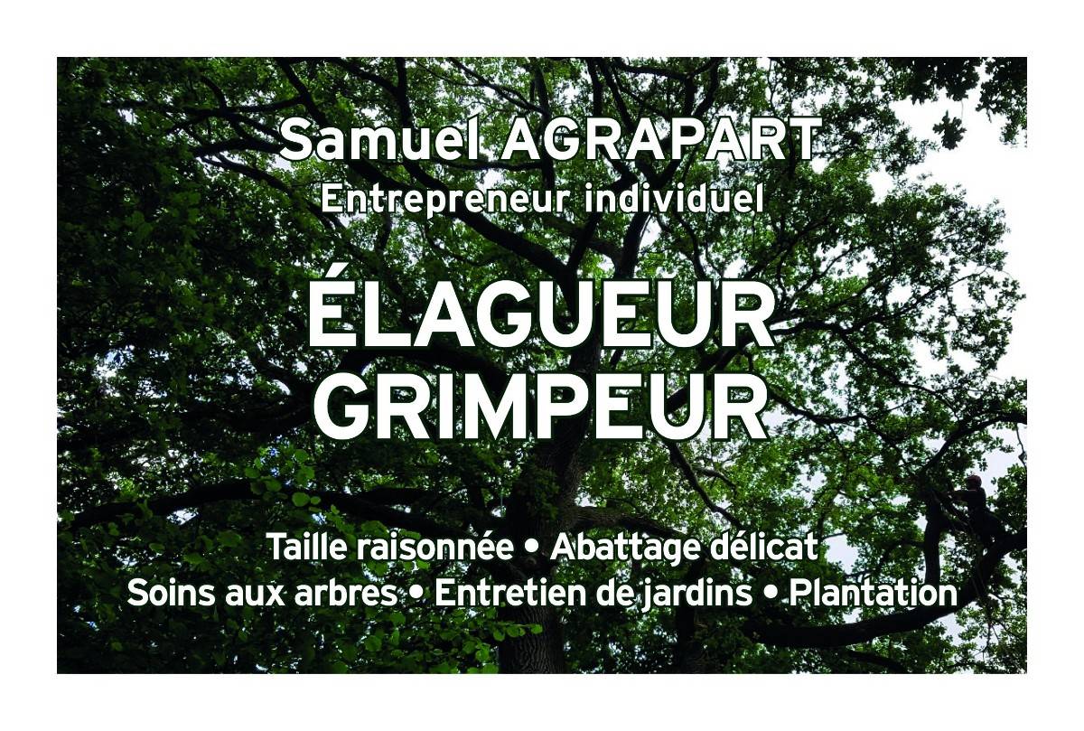 Propose Élagage : Taille raisonnée, abattage délicat, soin de vos arbres et entretien de votre jardin