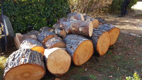 A enlever dans son intégralité 2 stères de bois - Aix-en-Provence Puyricard