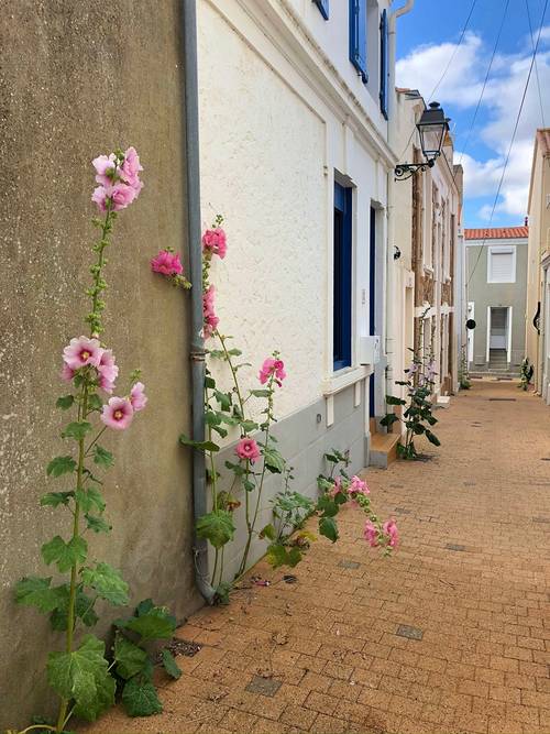 Loue entre port/ plage maison pour 6 couchages - 3 couchages, Les Sables-d’Olonne (85)