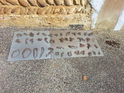 Vends 44 colliers pour chiens, en métal, solides et réglables
