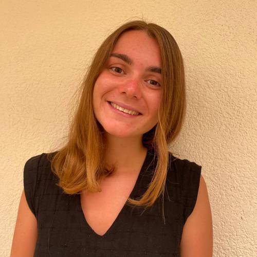 Etudiante de 21 ans propose cours particuliers / aide aux devoirs
