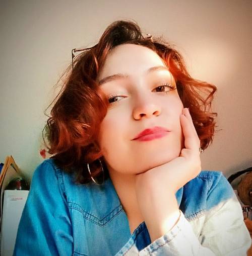 Propose cours de soutien dans toutes les matières littéraires / préparation au bac de français