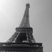 Delphine