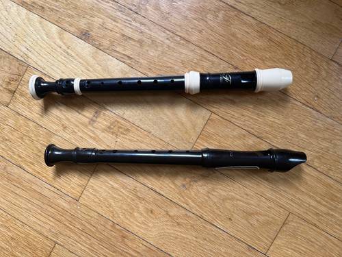 2 flutes à bec en plastique