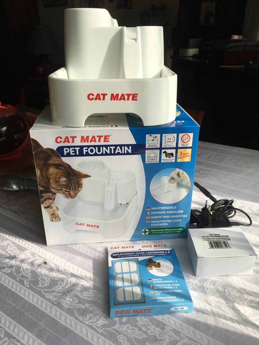 Fontaine à eau pour petits animaux de compagnie