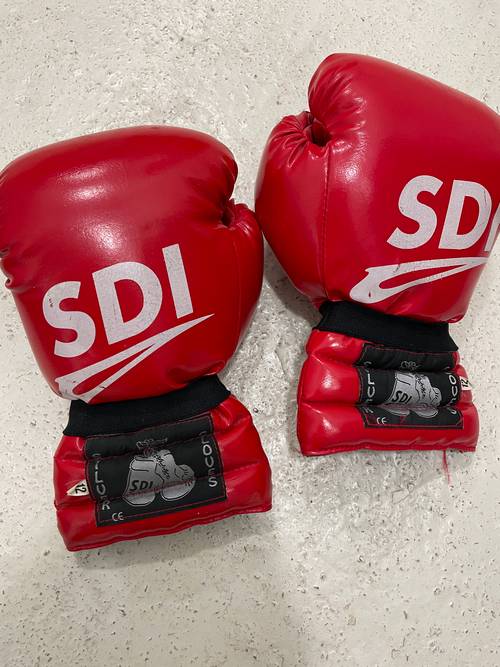 Gants de boxe T12 marque SIV