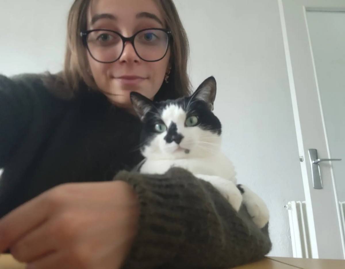Propose garde de chats