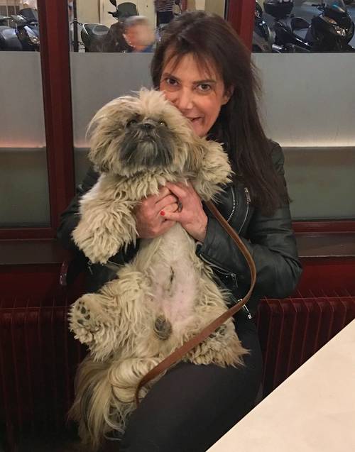 Propose mes services de garde de chiens