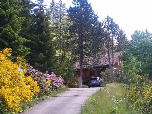Loue chalet dans un écrin de verdure à proximité du lac de Longemer - 12 couchages