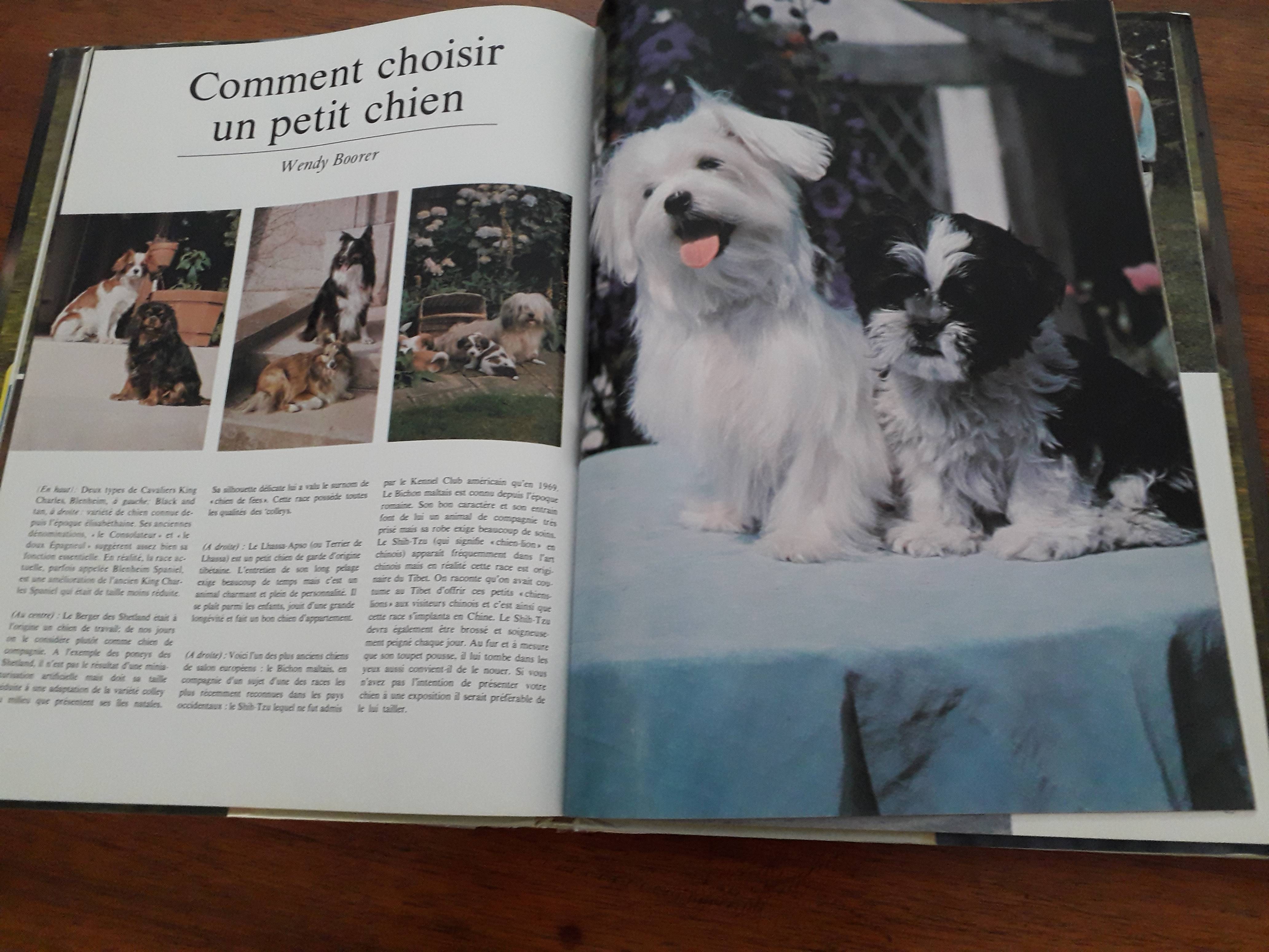 Grand beau livre sur les chiens sur Gens de Confiance