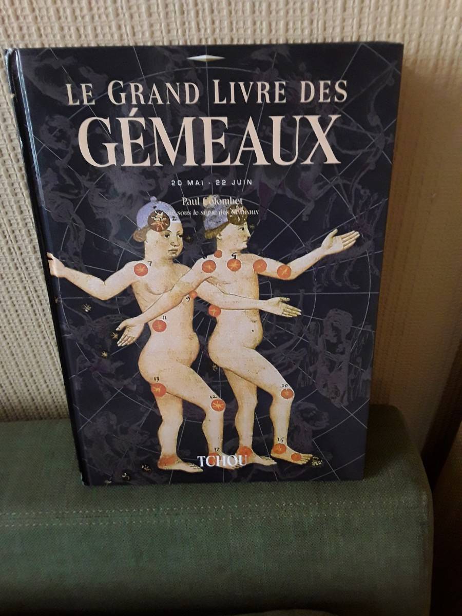 Le grand livre des Gémeaux