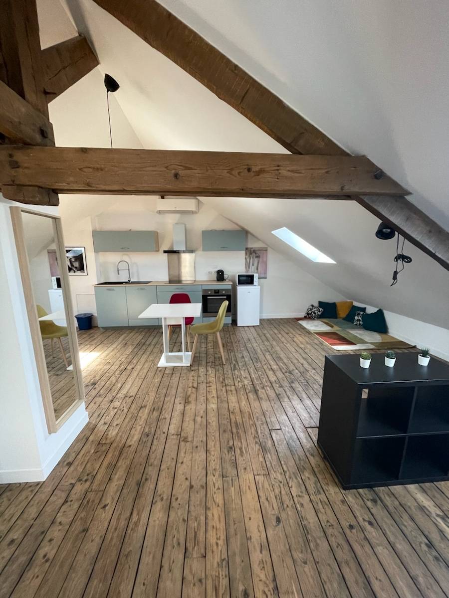 Loue appartement meublé et climatisé - 53m² - Reims
