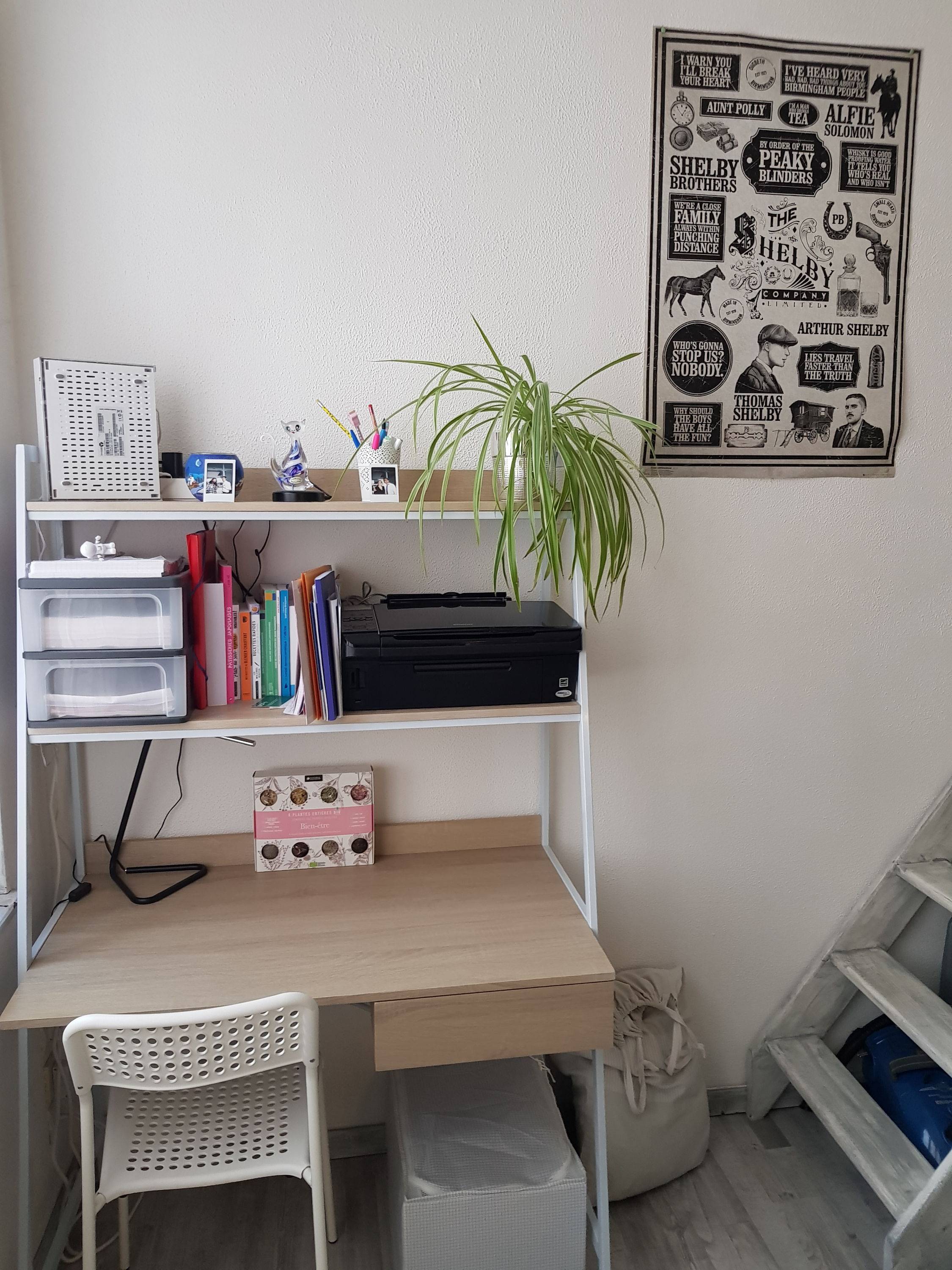 Une photo de l’annonce